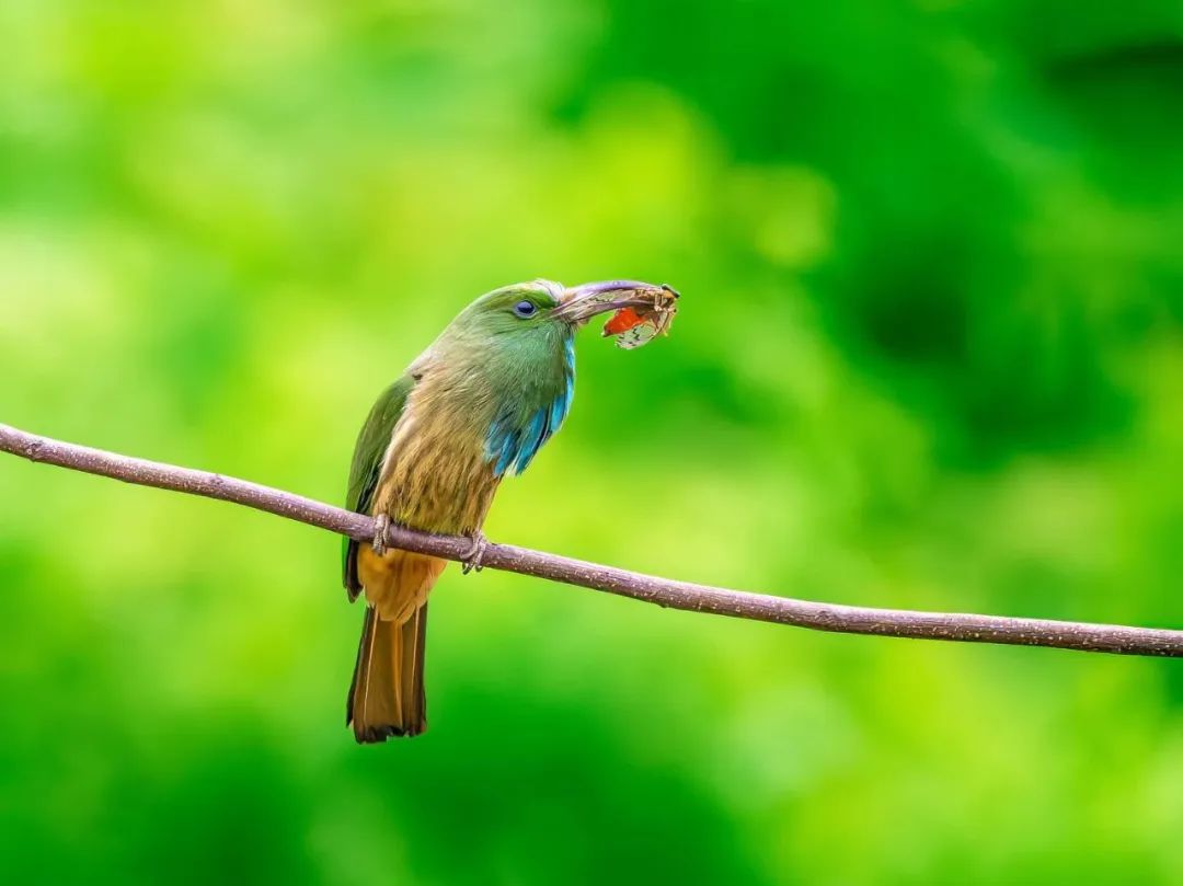 档案管理关&mdash;&mdash;"十五年追诉期"