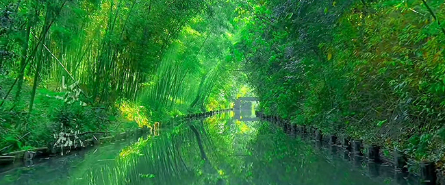 首页焦点图标题2