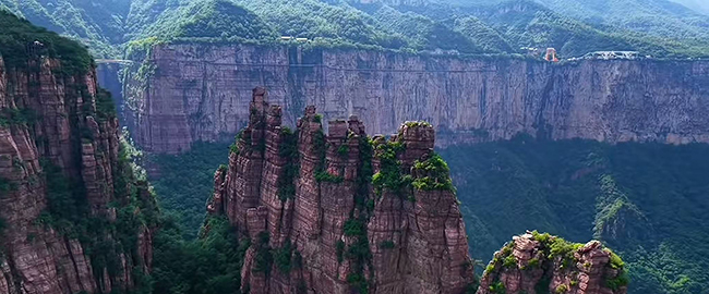 政府采购完全科普：一篇让财务和采购人员彻底搞懂的实用指南